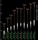 Набор поплавков для ловли методом Херабуна 3 шт.